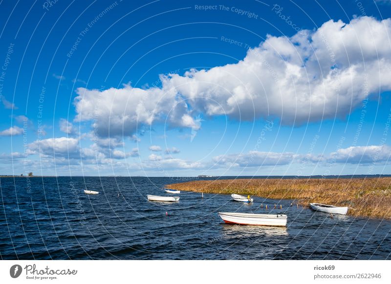 Boats on the Baltic Sea in Denmark Relaxation Vacation & Travel Tourism Nature Landscape Water Clouds Coast Harbour Architecture Tourist Attraction Watercraft