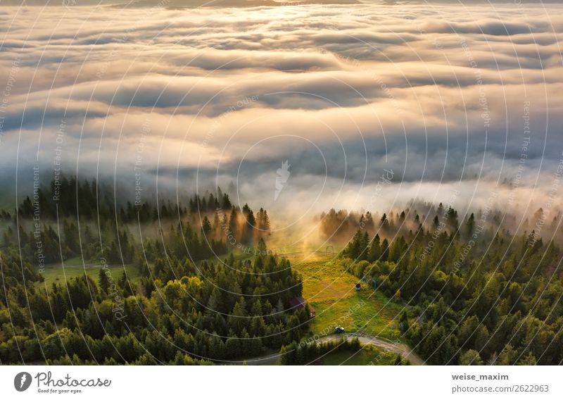 sunrise in mountains. Sea of fog behind top of the hill Vacation & Travel Tourism Summer Ocean Mountain Environment Nature Landscape Clouds Sunrise Sunset