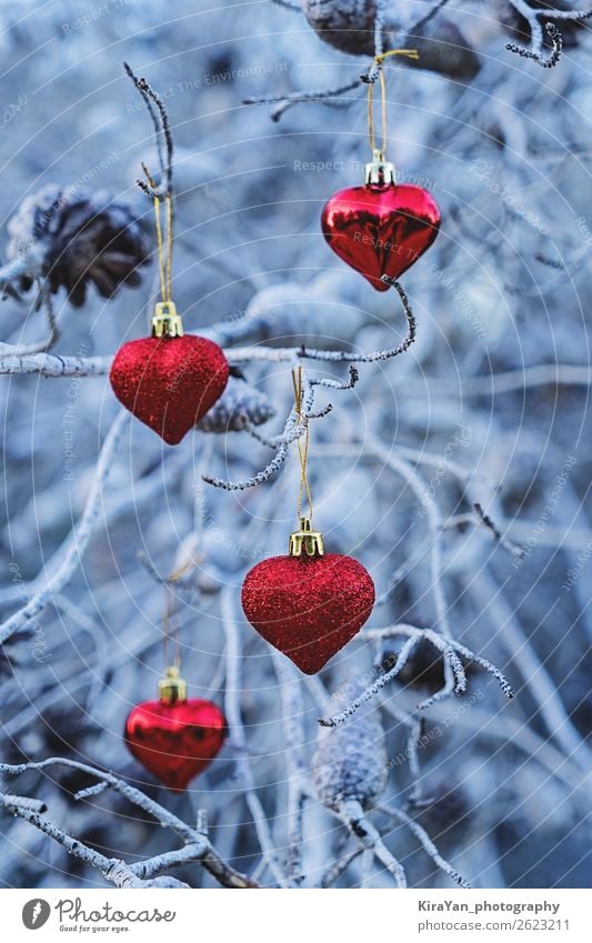 Red Christmas heart shaped balls on branches Design Winter Snow Decoration Feasts & Celebrations Christmas & Advent Tree Heart New Blue Mysterious Tradition