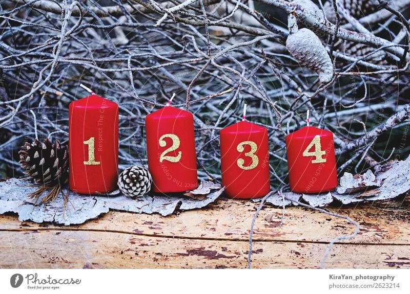 Four red advent candles with number Winter Decoration Feasts & Celebrations Christmas & Advent Tree Candle Red Emotions Hope Mysterious Religion and faith