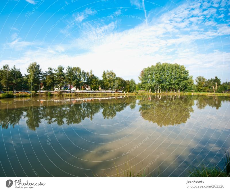 Look into the land across the lake Environment Nature Landscape Water Sky Clouds Summer Beautiful weather Tree Forest Pond Franconia Germany Calm Idyll Lakeside