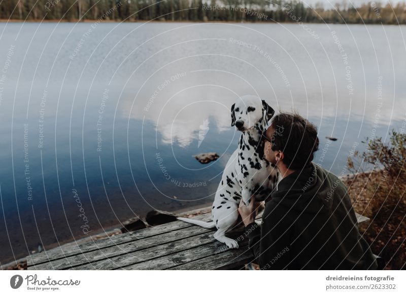 Dog Dalmatian sits with man master at the lake Masculine Man Adults Nature Landscape Water Lakeside River Pet Relaxation To enjoy Natural Safety (feeling of)