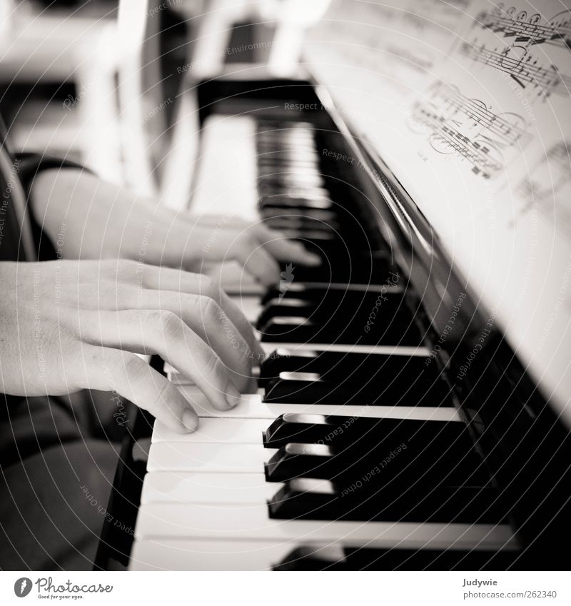 pianist Leisure and hobbies Playing Education Profession Musician Human being Masculine Young man Youth (Young adults) Hand Art Artist Concert Piano