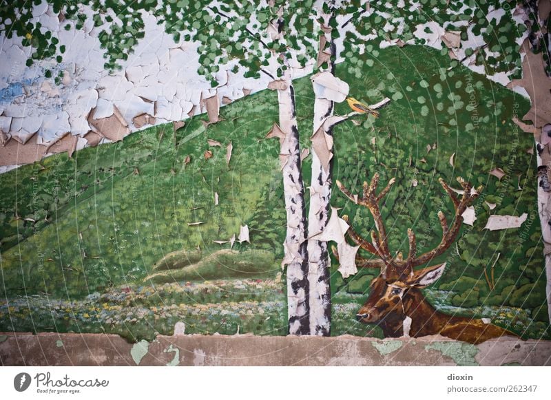 German idyll with stag Art Work of art Painting and drawing (object) Tree Tree trunk Birch tree Birch leaves Birch bark Hill Animal Wild animal Deer Deer head