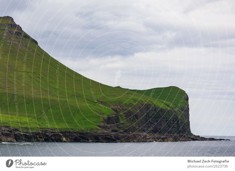 Landscape on the faroe islands with ocean and cliffs Beautiful Ocean Island Mountain Nature Sky Clouds Grass Meadow Rock Coast Watercraft Stone Natural Gray