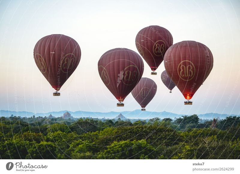Balloons over Bagan Myanmar Tourist Attraction Hot Air Balloon Driving Flying Elegant Tall Blue Brown Green Horizon Hover deceleration Calm Weightlessness