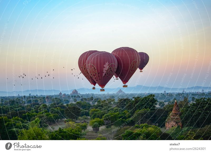 Flying over Bagan Ruin Building Tourist Attraction Pagoda Hot Air Balloon Bird Flock Driving Relaxation Freedom Ease Vacation & Travel Tourism Attachment Hover