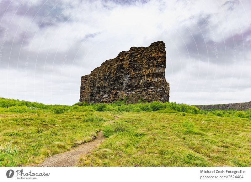 The asbyrgi canyon in vatnajokull national park Beautiful Vacation & Travel Island Mountain Nature Landscape Grass Park Hill Rock Canyon Lake Stone Green Colour