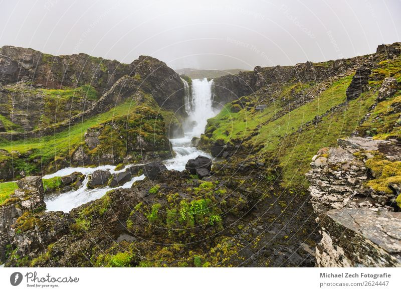 View to Dynjandi waterfall in the westfjords Beautiful Vacation & Travel Adventure Sightseeing Mountain Human being Man Adults Nature Landscape Water Autumn