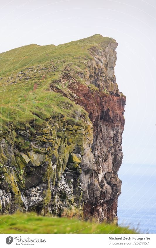 Stunning latrabjarg cliffs europe s largest bird cliff Vacation & Travel Tourism Adventure Ocean Hiking Nature Landscape Rock Coast Fjord Street Bird Natural