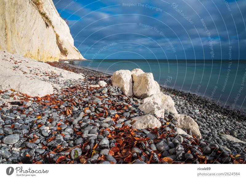 Baltic Sea coast on the island of Moen in Denmark Relaxation Vacation & Travel Tourism Beach Ocean Nature Landscape Water Clouds Autumn Tree Forest Rock Coast