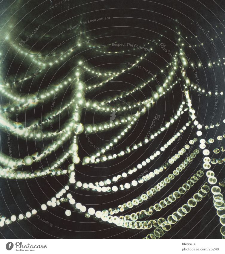 Network Spider's web Fairy lights Rain Damp mist drops