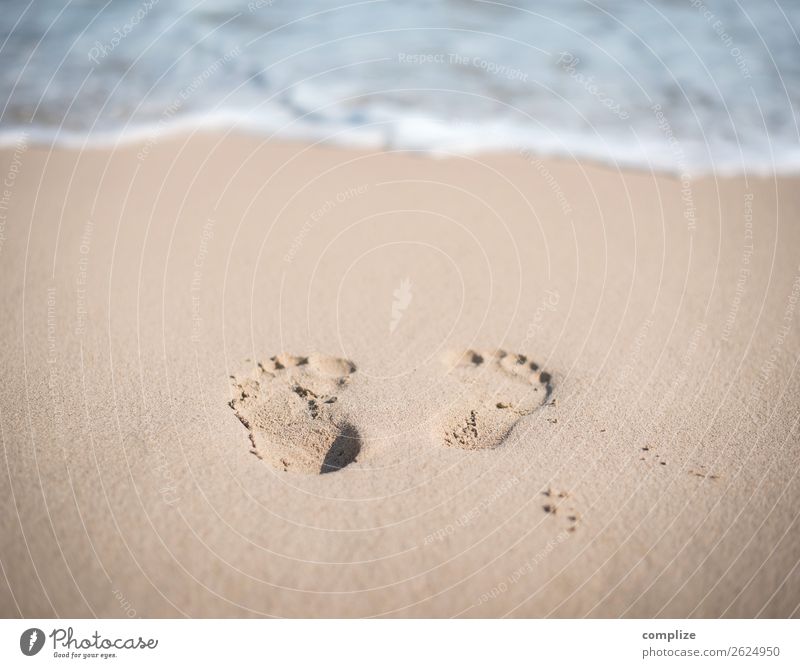 Footprints on the sandy beach Joy Beautiful Healthy Alternative medicine Wellness Harmonious Calm Meditation Spa Swimming & Bathing Vacation & Travel Freedom
