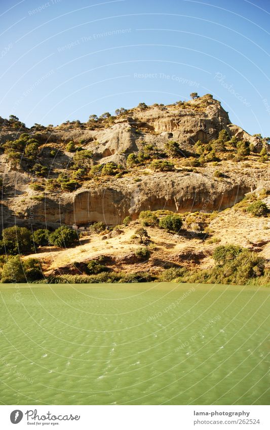La ribera [XXIV] Nature Landscape Elements Water Tree Bushes Hill Rock Waves River bank Guadalhorce Malaga Andalucia Spain Embalse del Cónde de Guadalhorce