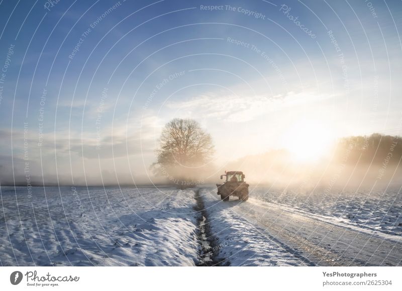 Tractor silhouette through fog at sunrise Lifestyle Winter Snow Work and employment Profession Machinery Nature Landscape Weather Beautiful weather Fog Meadow