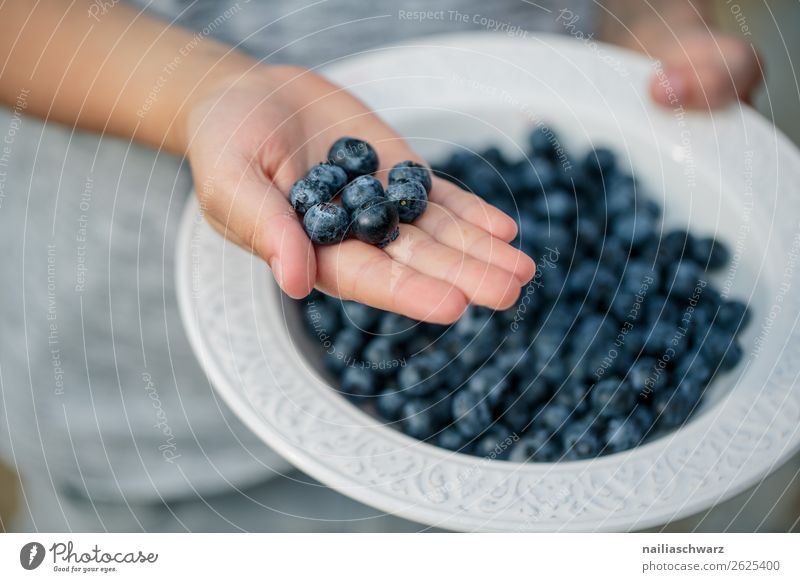 blueberries Food Blueberry Berries Nutrition Organic produce Vegetarian diet Diet Plate Bowl Lifestyle Summer Agriculture Forestry Human being Child Hand 1
