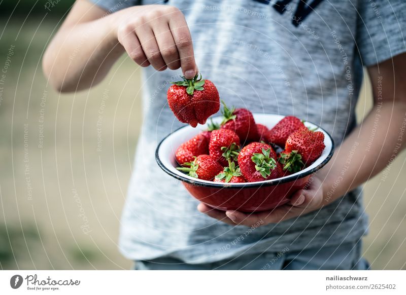 strawberries Food Fruit Dessert Strawberry Nutrition Picnic Organic produce Vegetarian diet Bowl Joy Healthy Healthy Eating Allergy Summer vacation Human being