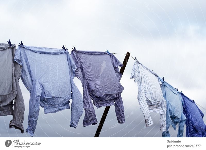 Leash II Sky Clouds Clothing T-shirt Shirt Blue White Laundry Clothesline Dry Wind Clothes peg Washing Hang Blow Colour photo Multicoloured Exterior shot