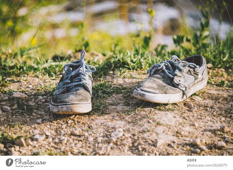 Old sneakers abandoned Summer Sun Nature Spring Autumn Grass Fashion Clothing Footwear Sneakers Stone Dirty Blue Gray broken worn Ground two suede Shoelace