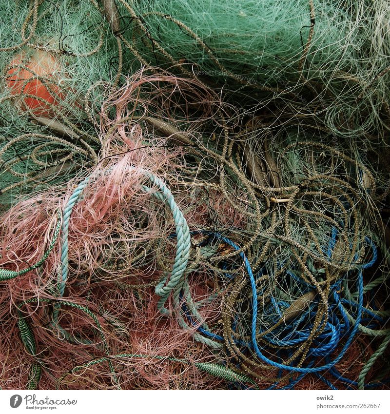 running Economy Fishery Many Crazy Wild Multicoloured Stress Bizarre Chaos Idyll Concentrate Network Whimsical Attachment Muddled Knot Rope Colour String