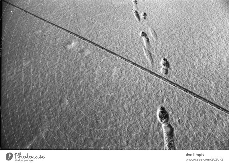 low on ice Winter Going Dark Cold Gray Black Tracks Structures and shapes Footprint Lanes & trails Cross Analog Black & white photo Exterior shot Deserted