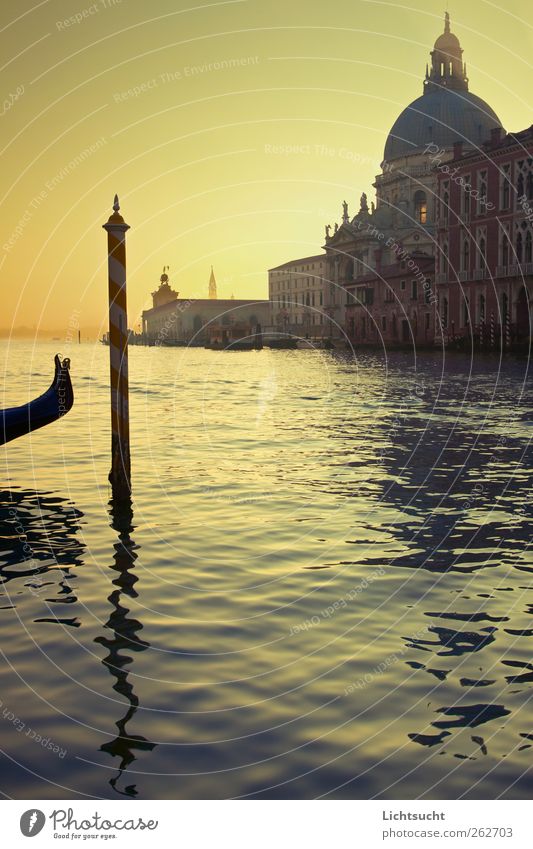 Venetian morning light Vacation & Travel Tourism Sightseeing City trip Island Lagoon Islands Water Waves River Canal Grande Venice Italy Europe Port City
