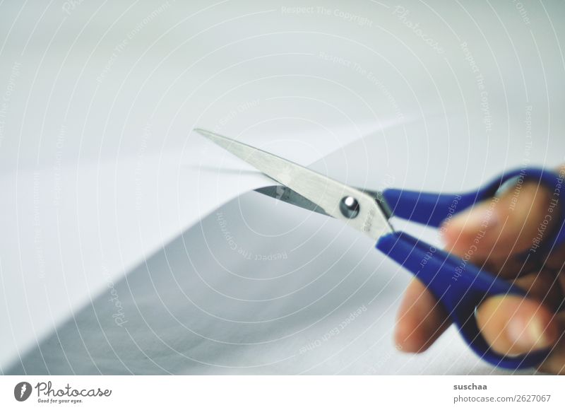 *cut* Paper Piece of paper Leaf White Scissors Hand Fingers Handicraft Handcrafts tart Office Detail Work and employment