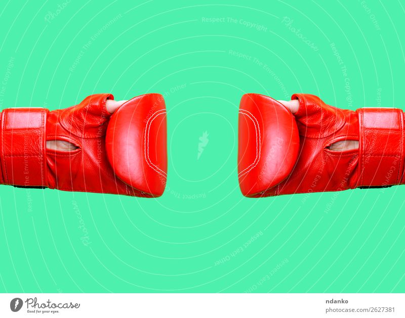 two female hands is wearing a red leather boxing glove Sports Woman Adults Hand Leather Gloves Fitness Communicate Together Green Red Protection Stress Colour