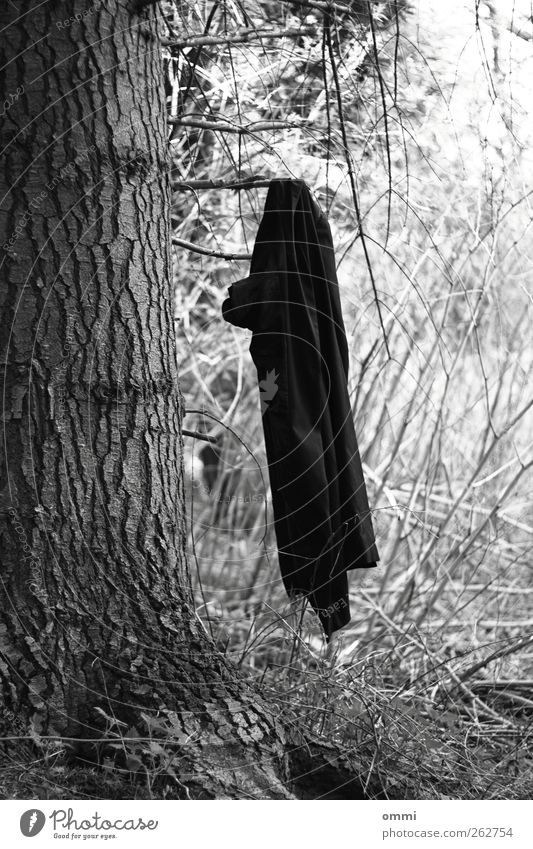 For wardrobe no liability Tree Jacket Coat Hang Exceptional Simple Black White Branch Tree bark Clothes peg Black & white photo Exterior shot Deserted