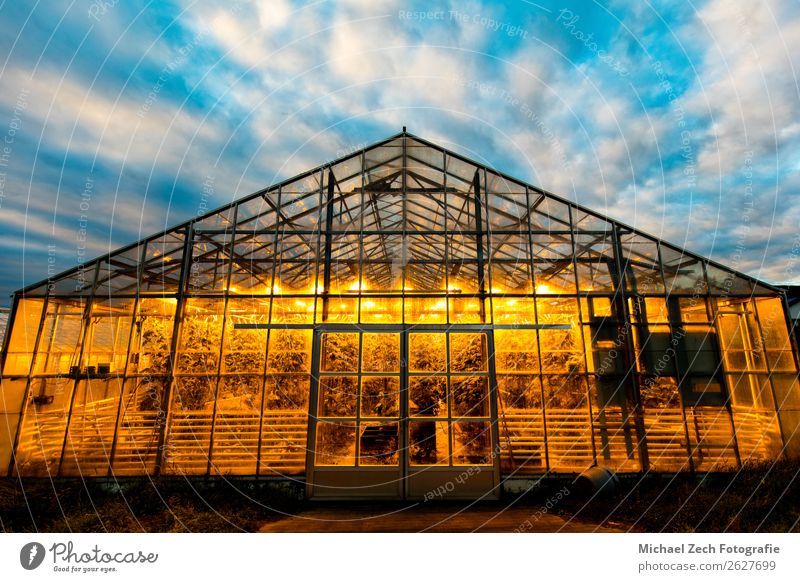 Greenhouse in Iceland Vegetable Fruit House (Residential Structure) Garden Culture Nature Plant Sky Clouds Warmth Flower Building Architecture Growth Hot