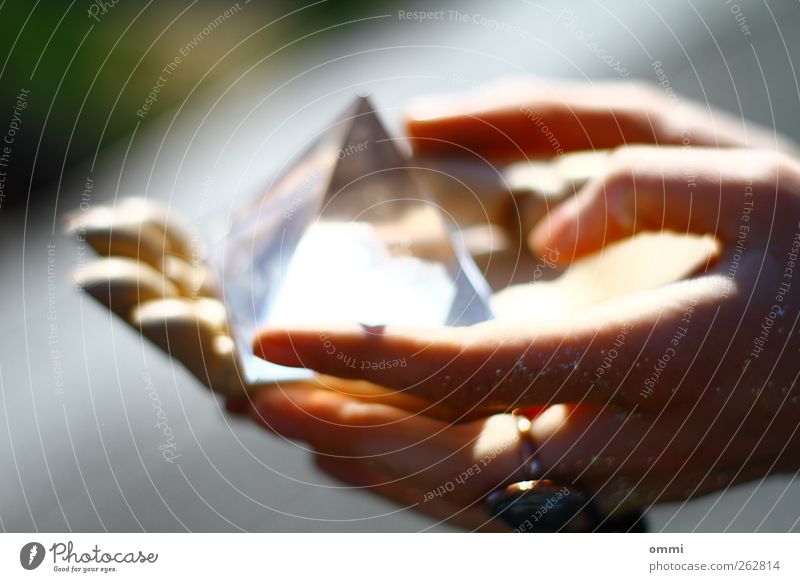 The future in hands II Feminine Young woman Youth (Young adults) Hand Fingers Ring Prism Wood Glass Touch Glittering Illuminate Esthetic Bright Near