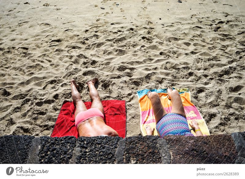 sunbath Vacation & Travel Summer Summer vacation Sun Sunbathing Beach Ocean Human being Masculine Feminine Woman Adults Man Female senior Male senior