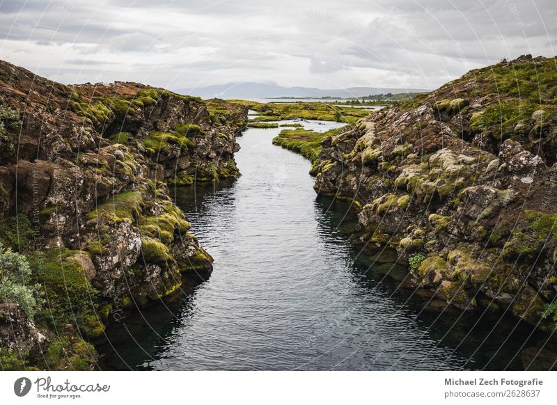 wonderful landscape view of Pingvellir national park Beautiful Vacation & Travel Sightseeing Summer Mountain Environment Nature Landscape Clouds Grass Bushes