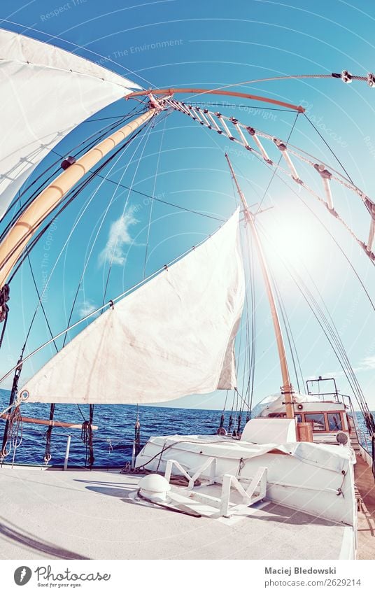Old schooner sails against the sun. Lifestyle Vacation & Travel Trip Adventure Freedom Cruise Sun Ocean Waves Sailing Sky Wind Sailboat To enjoy Dream Blue