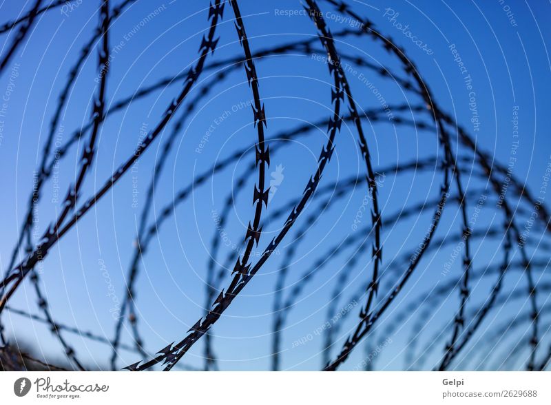 Fence with a barbed wire Freedom Camping Sky Metal Steel Rust Line Blue Black White Safety Protection Safety (feeling of) Dangerous War Penitentiary sharp