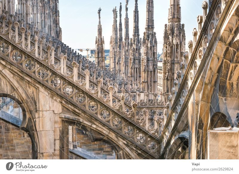 Architecture on roof of Duomo cathedral Beautiful Vacation & Travel Tourism Sightseeing City trip Decoration Art Sculpture Culture Sky Town Church Dome Palace