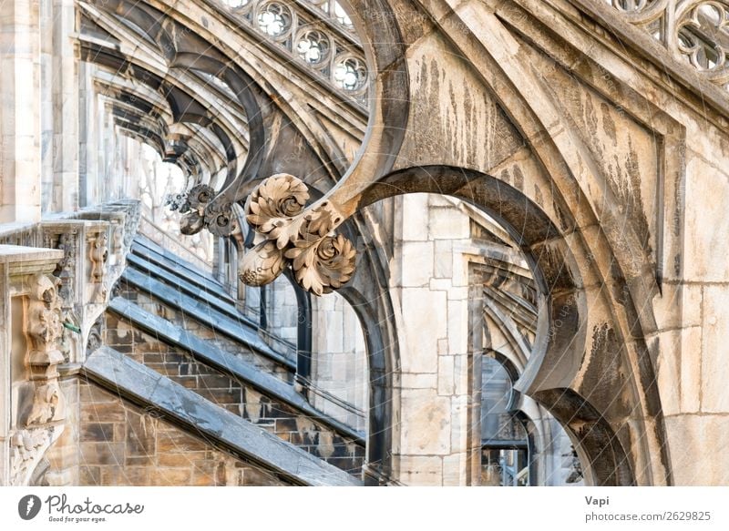 Architecture on roof of Duomo gothic cathedral Beautiful Vacation & Travel Tourism Sightseeing City trip Decoration Art Sculpture Culture Church Dome Palace
