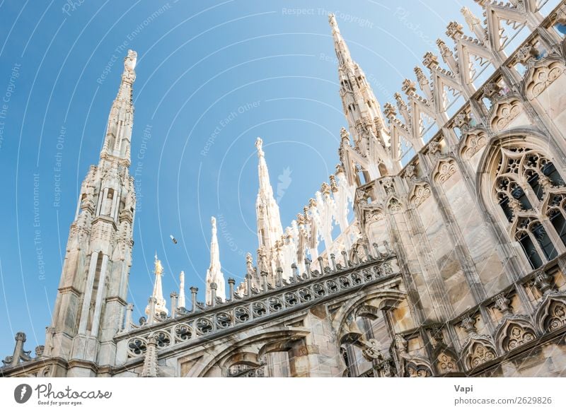 Marble statues - architecture on roof of Duomo cathedral Beautiful Vacation & Travel Tourism Sightseeing City trip Decoration Art Sculpture Architecture Culture