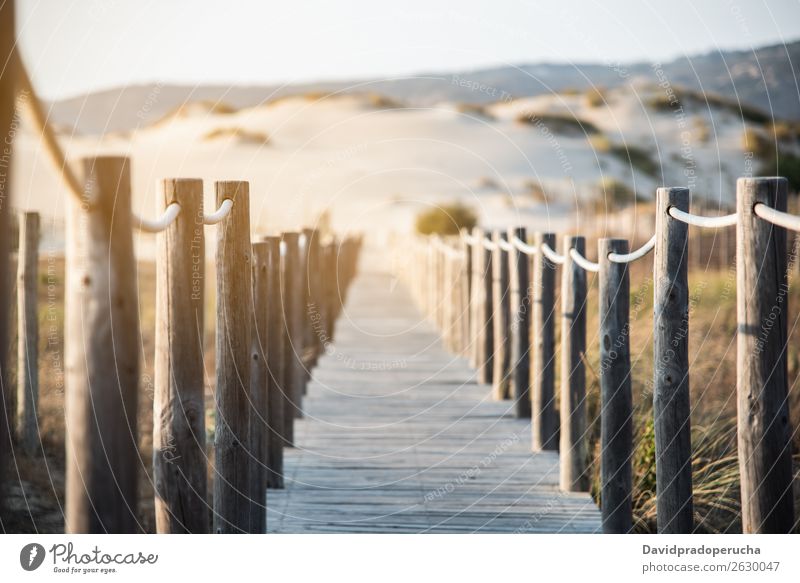 wooden foot bridge by the beach Background picture Beach Bridge Coast Destination Feet Vacation & Travel Natural Nature Ocean Exterior shot Lanes & trails Sand