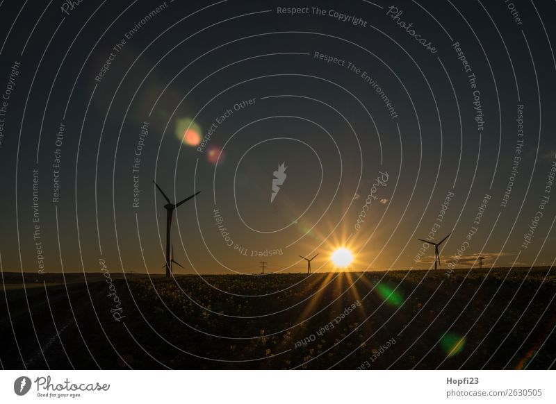 Sunrise at the windmills Economy Industry Energy industry Machinery Engines High-tech Renewable energy Wind energy plant Environment Nature Landscape Earth Air