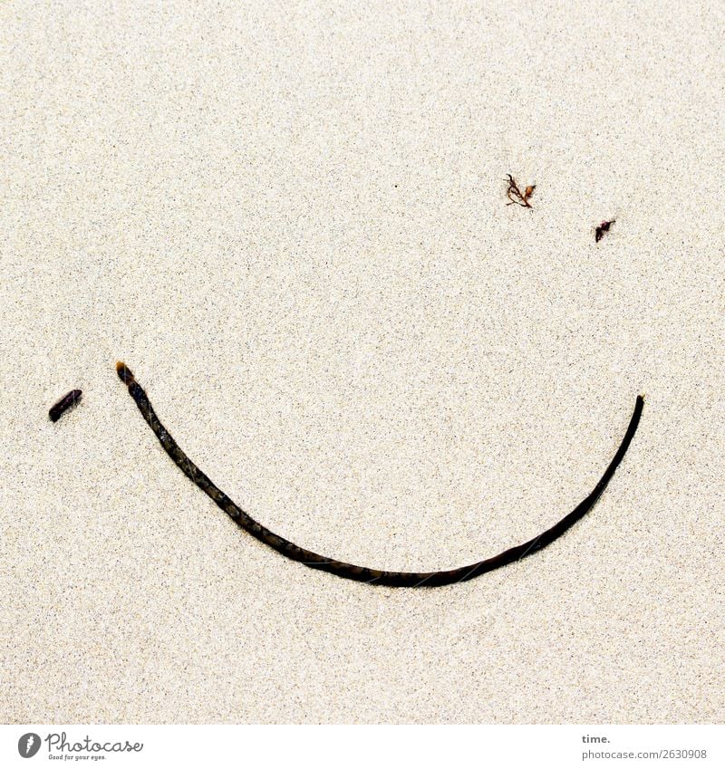 washed up surprise. Work of art Sculpture Sand Seaweed Beach Sign Line Facial expression Smiley Smiling Friendliness Happiness Happy Astute Funny Maritime