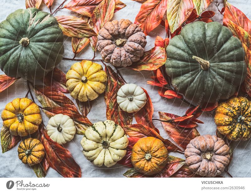 fall leaves and pumpkins wallpaper