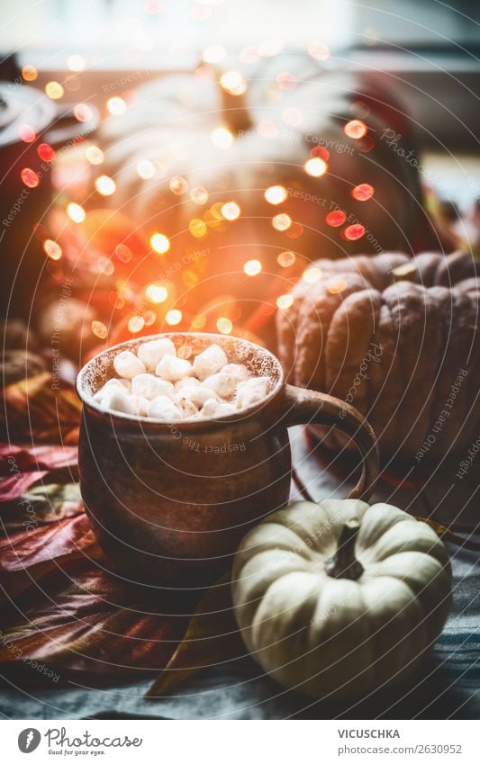 Cup with hot chocolate , MMarshmallow and pumpkin Beverage Hot drink Hot Chocolate Style Design Living or residing Flat (apartment) Decoration Autumn Still Life