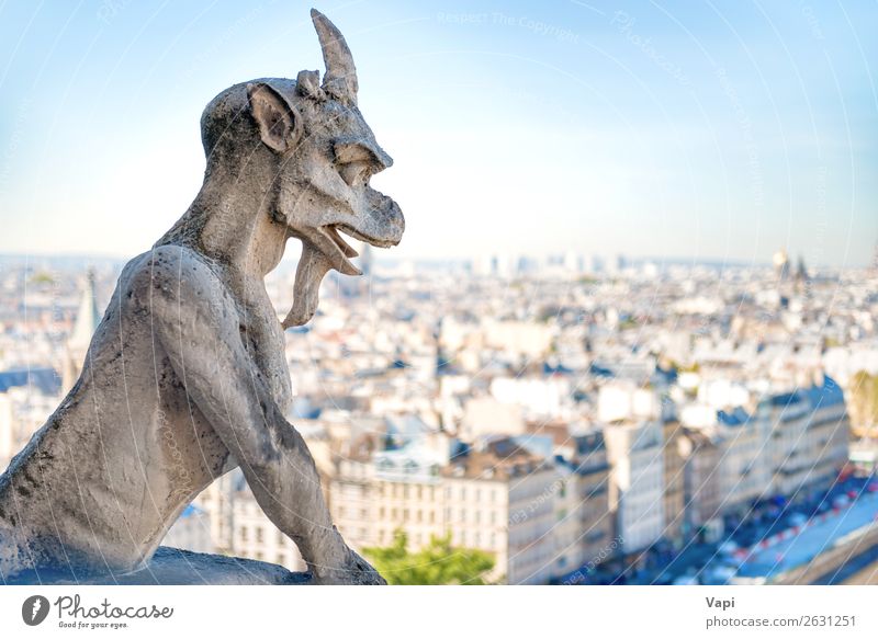 Gargoyle statue on Notre Dame de Paris Vacation & Travel Tourism Trip Adventure Far-off places Sightseeing City trip Summer Summer vacation