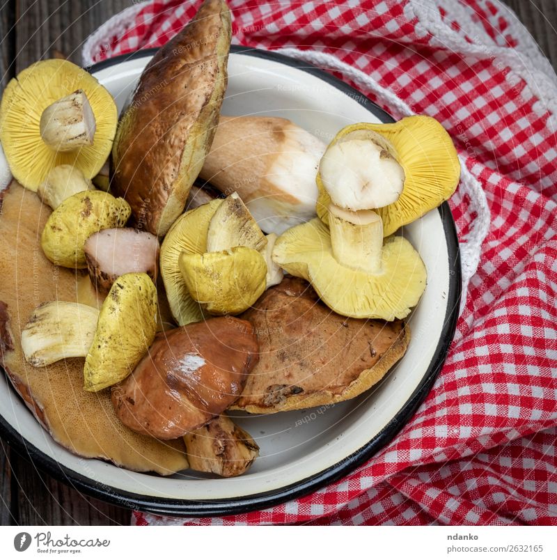 fresh edible forest mushrooms Vegetable Vegetarian diet Plate Nature Plant Autumn Forest Dirty Fresh Natural Wild Brown Yellow Red White suillus Boletus edulis