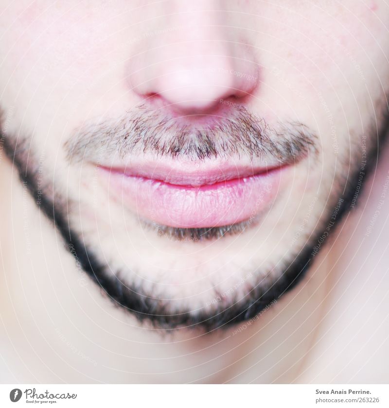 close up. Masculine Young man Youth (Young adults) Man Adults Nose Lips Chin Cheek 1 Human being 18 - 30 years Facial hair Moustache Designer stubble