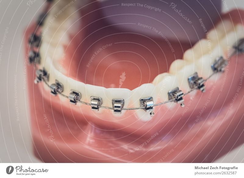 Detailed close up of dental denture or teeth on a table Design Illness Medication Mirror Doctor Office Hospital Teeth Clean White Dentist Dental instruments