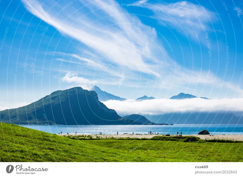Haukland Beach on Lofoten in Norway Relaxation Vacation & Travel Tourism Ocean Mountain Nature Landscape Water Clouds Grass Meadow Rock Coast Blue Green Idyll