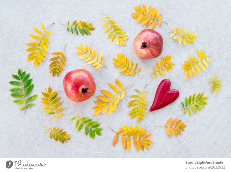 Pomegranates and golden ashberry tree leaves Fruit Beautiful Art Nature Autumn Weather Tree Leaf Concrete Heart Love Bright Natural Yellow Gold Gray Green Red