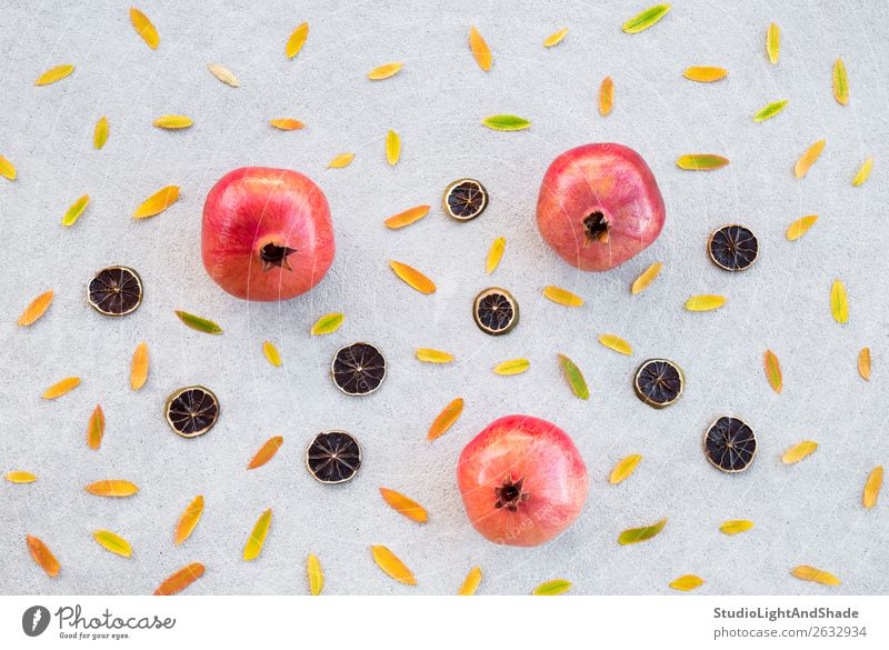 Autumn fruits and colorful ashberry tree leaves Fruit Beautiful Art Nature Tree Leaf Concrete Bright Natural Yellow Gold Gray Green Red Colour Pomegranate rowan